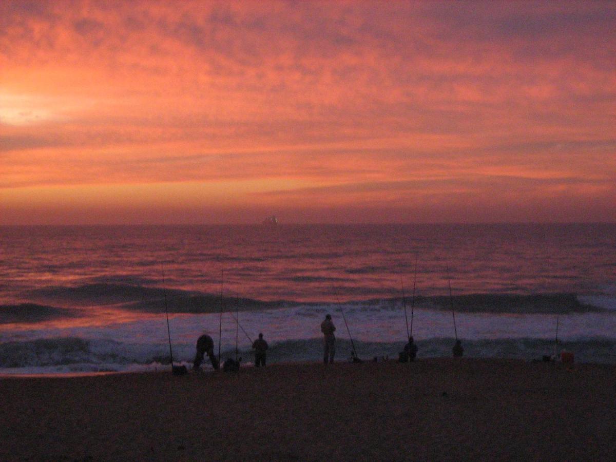 Glenashley Beach Accommodation - B&B And Backpackers Durban Dış mekan fotoğraf